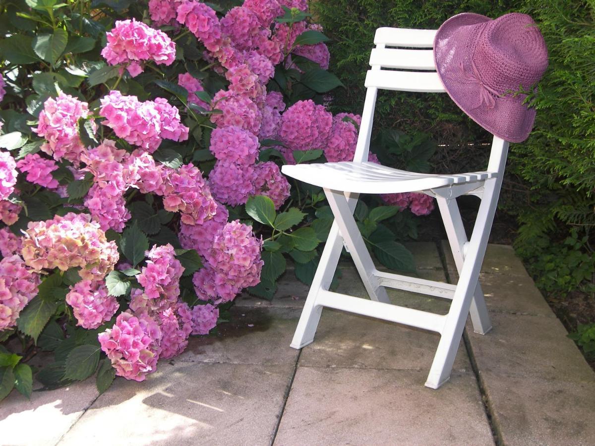 Les Hortensias سانت-ماري-أو-مين المظهر الخارجي الصورة