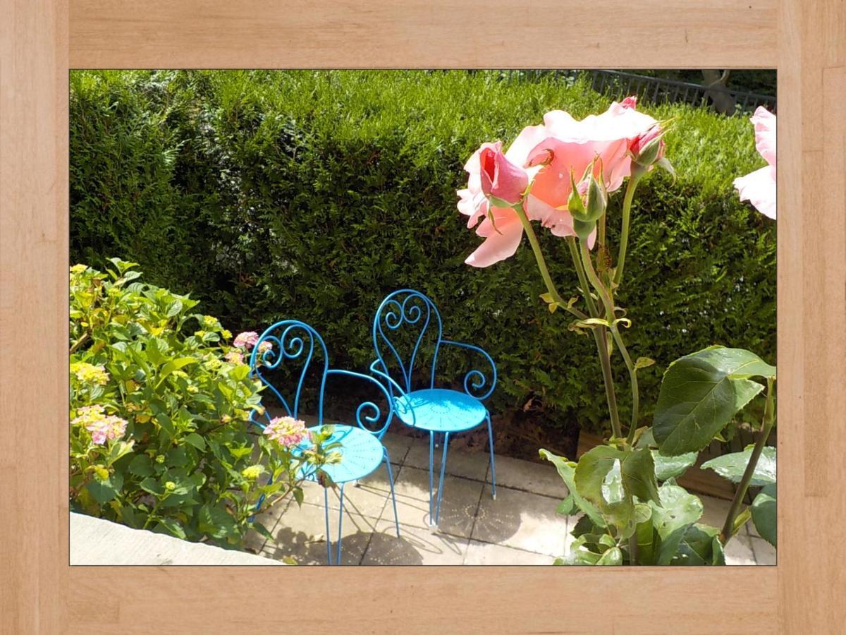 Les Hortensias سانت-ماري-أو-مين المظهر الخارجي الصورة